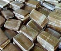 ضبط 4 عاطلين بحوزتهم 12 كيلو حشيش بكفر الشيخ‎