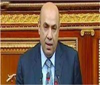 برلماني: رؤية مصر تجاه العدوان على غزة واضحة وحاسمة 