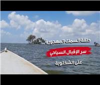 حلقة السمك المهجورة.. سر الإقبال السياحي على «الشخلوبة»| صور وفيديو