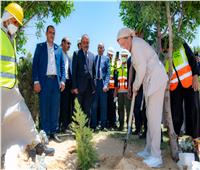  وزيرة البيئة تغرس شجرة الجاتروفا بمحافظة الإسماعيلية 
