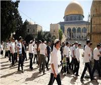 مئات المستوطنين يقتحمون الأقصى.. و«الاحتلال» يشدد إجراءاته في القدس