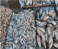 «تنمية البحيرات» يحذر من مخاطر الإجهاد الحراري على الثروة السمكية