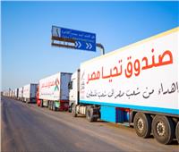 جهود مصرية متواصلة لدعم غزة.. 350 شاحنة تتجهز للعبور