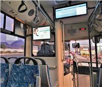  شاشات رقمية داخل الحافلات بالمدينة المنورة تبثّ رسائل لتعزيز صحة الحجاج 