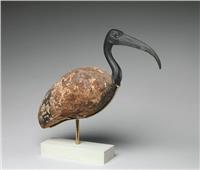 أصل الحكاية | طائر أبو منجل في مصر القديمة.. رمز الحكمة المُرصع بالعقيق