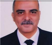 حركة تغييرات في محليات القليوبية.. وتعيين سمير عمر رئيسًا لقليوب