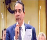 أيمن أبو العلا: مراكز أمريكية تستهدف قصواء الخلالي لفضحها الكيان الصهيوني 