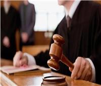 تأجيل محاكمة 3 متهمين بـ«خلية الشروق الثانية» لجلسة 14 يوليو