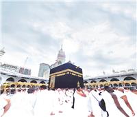 الكيانات الوهمية وراء أزمة حج الزيارات | تفاصيل