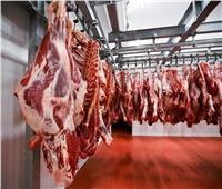 «التموين» تضخ اللحوم بأسعار تبدأ من 220 جنيهًا استعدادا لعيد الاضحى