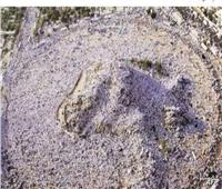 10 معلومات تصف لك جبل عرفات كأنك تراه| صور  