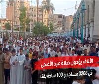 الآلاف يؤدون صلاة عيد الأضحى في 3208 مساجد و100 ساحة بقنا | فيديو