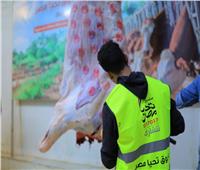 صندوق تحيا مصر يطلق مبادرة «أضاحي» لتوزيع اللحوم على الأسر الأولى بالرعاية
