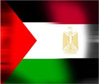 جهاد الحرازين: مصر تضغط بكل الوسائل المتاحة لحقن دماء الشعب الفلسطيني
