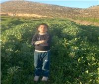 انتهاك إسرائيلي جديد.. اعتقال طفل فلسطيني يبلغ 7 أعوام خلال عيد الأضحى