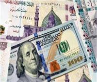 استقرار سعر الدولار مقابل الجنيه المصري في تعاملات الخميس 20 يونيو 2024