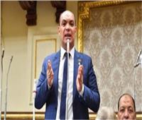 برلماني: مبادرة حياة كريمة غيرت شكل الريف المصري