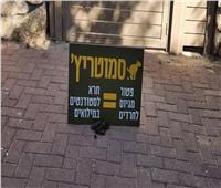 محتجون على قانون التجنيد يكوّمون روث الحيوانات أمام منازل الوزراء بإسرائيل| صور