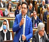 برلماني يثمن توجيهات الرئيس بشأن أزمة الكهرباء