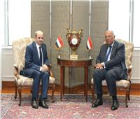 وزير الخارجية اليمني يعرب عن تقديره لمواقف مصر الداعمة لبلاده