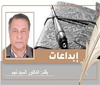 «دار الجد والصبي » قصة قصيرة للكاتب الدكتور السيد نجم