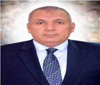 محافظ الوادي الجديد يعد بتوفير فرص عمل للشباب
