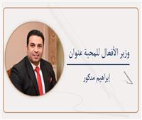 إبراهيم مدكور يكتب: وزير الأفعال للمحبة عنوان