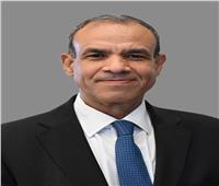 وزير الخارجية يشدد على تنفيذ قرارات مجلس الأمن بوقف الحرب على غزة
