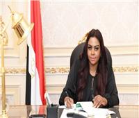 عضو لجنة الشئون الأفريقية:  برنامج الحكومة الجديدة يهدف إلى الارتقاء بخدمات المواطنين
