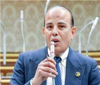 اقتصادية النواب: منح الثقة للحكومة تكليف جديد وقضايا الشارع أولوية ‎