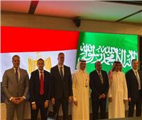 وزير الكهرباء: بدء تشغيل مشروع الربط مع السعودية مطلع الصيف المقبل