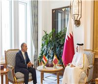 وزير الخارجية يثمن الوتيرة التصاعدية للعلاقات المصرية القطرية