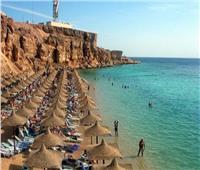 تذكرة الحضارة القديمة.. مبادرة لتشجيع البوليفيين على زيارة مصر