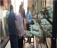«تموين المنيا» يحرر 258 محضرًا خلال حملات على المخابز والأسواق
