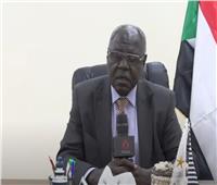 وزير الإعلام السوداني يوضح خسائر قطاع الثقافة والآثار في البلاد