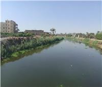 محافظة الجيزة توضح أسباب وجود بقع زيتية بترعة المريوطية| صور 