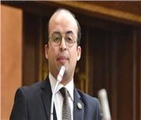 تنسيقية شباب الأحزاب تشيد بقرار إحالة توصيات الحبس الاحتياطي للحكومة