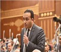 نائب الشيوخ:  قانون الإجراءات الجنائية الجديد يحقق العدالة الناجزة