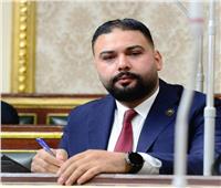 برلماني : إجراءات حكومية جادة لتعزيز الاستثمارات وإصلاح المنظومة الضريبية