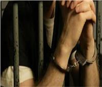 حبس سائق ربع نقل دهس طفل وتسبب في وفاته بحلوان