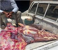 الخدمات البيطرية تضبط أكثر من 178 طن لحوم وأسماك غير صالحة للاستهلاك