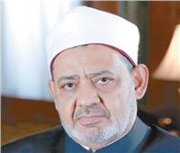 شيخ الأزهر: تدريس «العربية» بالمدارس الدولية خطوة مهمة