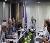 محافظ أسوان: مشروعات متنوعة لتوزيع الكهرباء لتدعيم وتوفير مغذيات بديلة