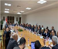 انعقاد اللجنة الدائمة لمتابعة العلاقات المصرية الإفريقية