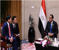 مدبولي لرئيس شركة «جريت وول موتورز» الصينية: مهتمون بتوطين صناعة السيارات الكهربائية