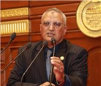 نائب الشيوخ : نجاحات حملة «إيد واحدة» منذ تدشينها