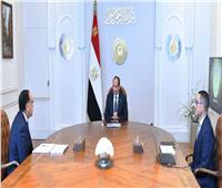 الرئيس السيسي يوجه بتشجيع القطاع الخاص المصري