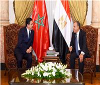 وزير الخارجية يؤكد على أهمية الحفاظ على الأمن والاستقرار في القارة الأفريقية