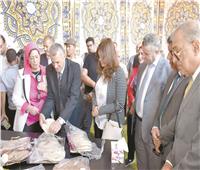 18 طناً للفدان.. ويساهم فى خفض الاستيراد