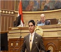 أبو هشيمة رئيسًا للجنة الشباب بمجلس الشيوخ